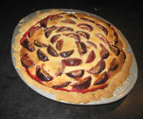 Fig Tart.jpg